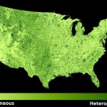 Map of habitat heterogeneity across the conterminous U.S., based on 30-m resolution standard deviation texture (21x21 moving window) of NDVI (index of vegetation greenness) from Landsat 8 imagery. Darker green areas indicate regions with higher habitat heterogeneity.