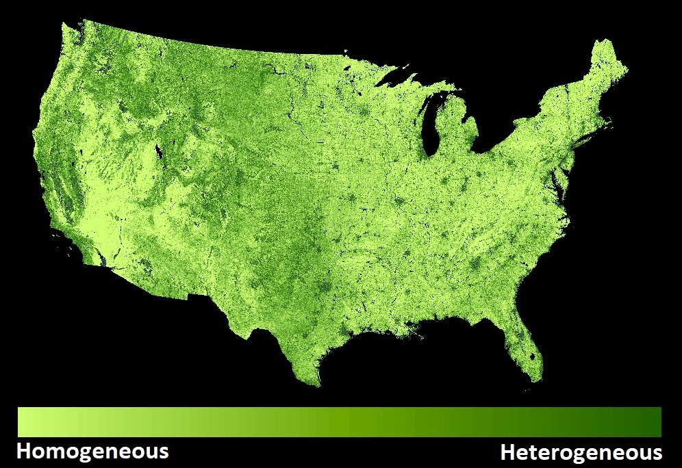 Map of habitat heterogeneity across the conterminous U.S., based on 30-m resolution standard deviation texture (21x21 moving window) of NDVI (index of vegetation greenness) from Landsat 8 imagery. Darker green areas indicate regions with higher habitat heterogeneity.